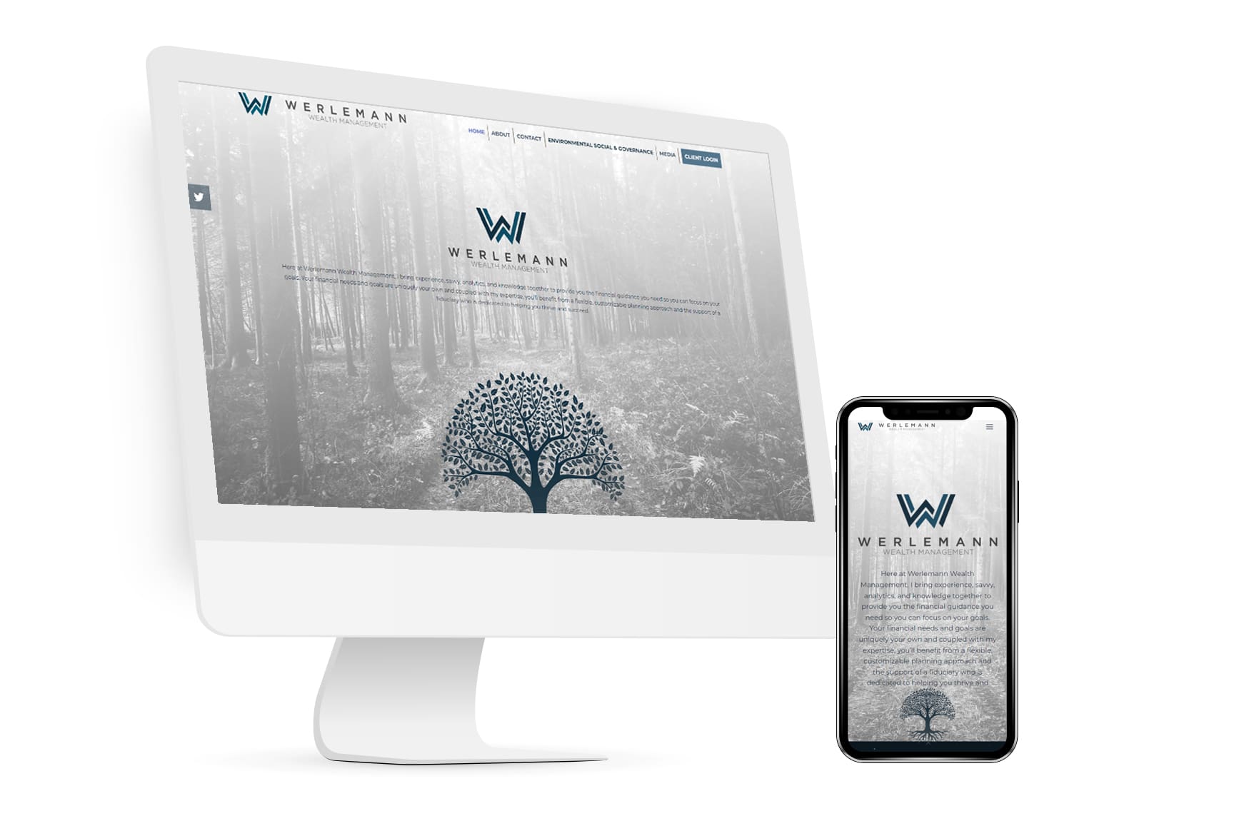 Levy Online Werlemann Wealth Web Design and Development