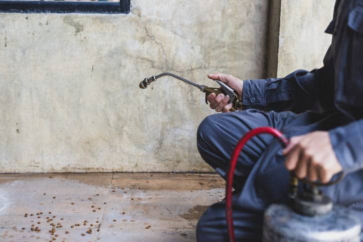A pest control technician spraying a wall.