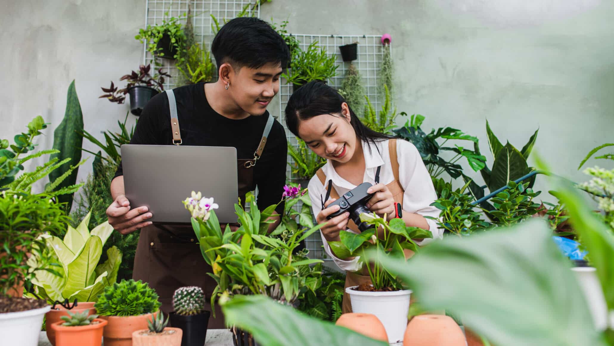 Landscapers photographing indoor plants and managing digital marketing content for their landscaping business